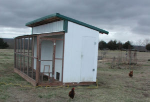 Do-it-yourself chicken coop