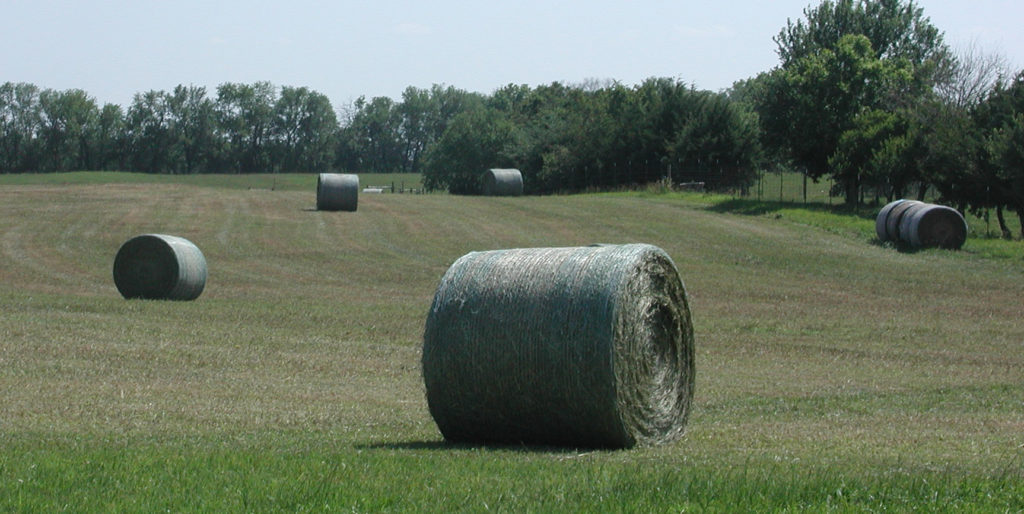 Large, round hay bale in field